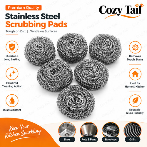 Stainless steel scrubber - 6x,